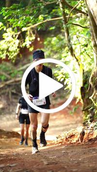 BIB:  <button type="button" onclick="openModal(27821715)" class="btn btn-primary btn-sm float-right" data-toggle="modal" data-target=".modal-high-quality">
                <i class="fa fa-download"></i> Download
                </button>